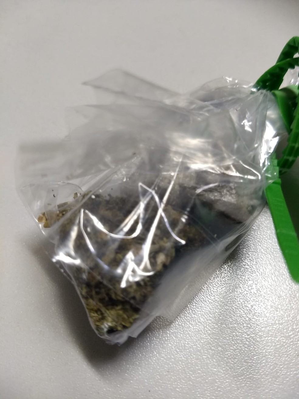 Uma pequena porção de maconha também foi apreendida — Foto: Polícia Militar