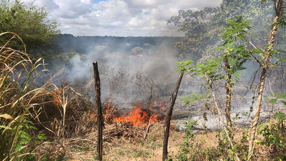 Área de mata pega fogo no conjunto Cidade Satélite, na Zona Sul de Natal. — Foto: Vinícius Marinho/Inter TV Cabugi