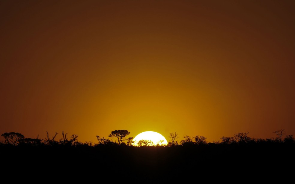 Por do Sol na Floresta Nacional de Brasília — Foto: Pedro Ventura/Agência Brasília/Divulgação