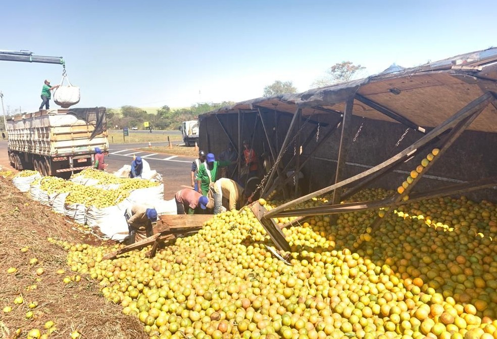 Caminhão tomba e espalha carga de laranja em rodovia de Itápolis  — Foto: Marcelo Liso/Portal Ternura