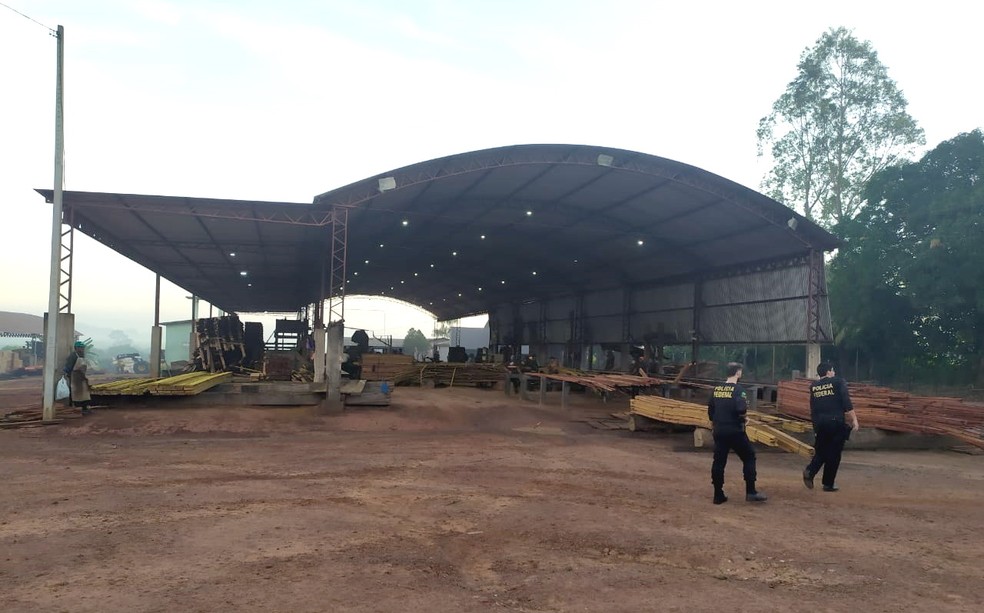 PF cumpre mandados no RN, PA e PB em operação de combate à venda e transporte ilegal de madeiras da Amazônia — Foto: Polícia Federal/Divulgação