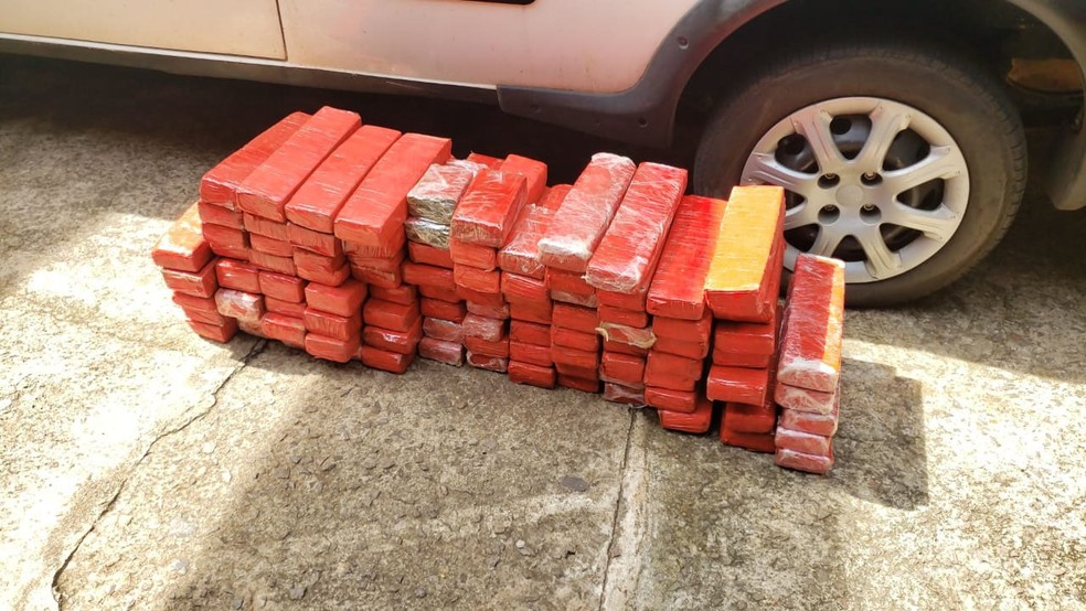 Maconha foi apreendida em Teodoro Sampaio (SP) — Foto: Polícia Civil 