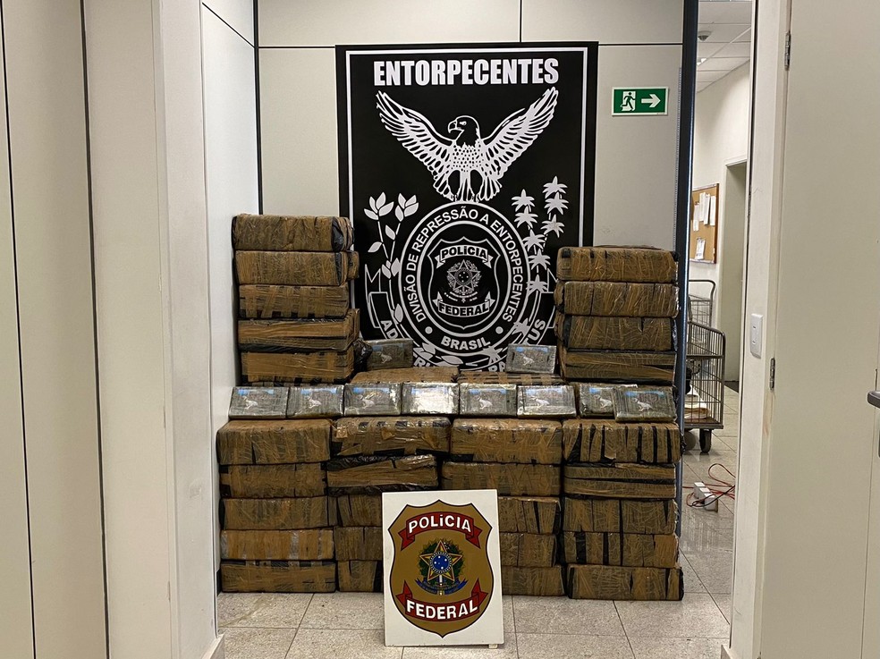 Cocaína apreendida pela PF ia para a África, segundo investigações — Foto: Divulgação