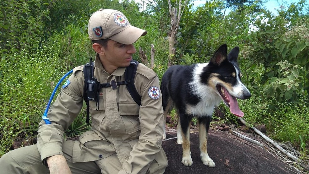 Cão Luke do Corpo de Bombeiros de Sorriso ajudará nas buscas em Petrópolis  — Foto: Corpo de Bombeiros