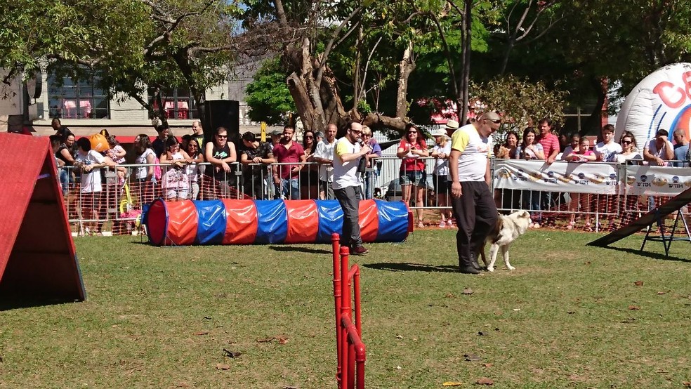 Evento contou também com provas de adestramento (Foto: Tiago de Moraes/G1)