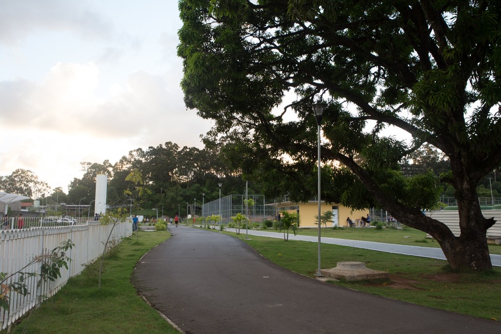 MutirÃ£o ocorre no Parque da Macaxeira, na Zona Norte do Recife (Foto: EstÃºdio IMG/Prefeitura do Recife)