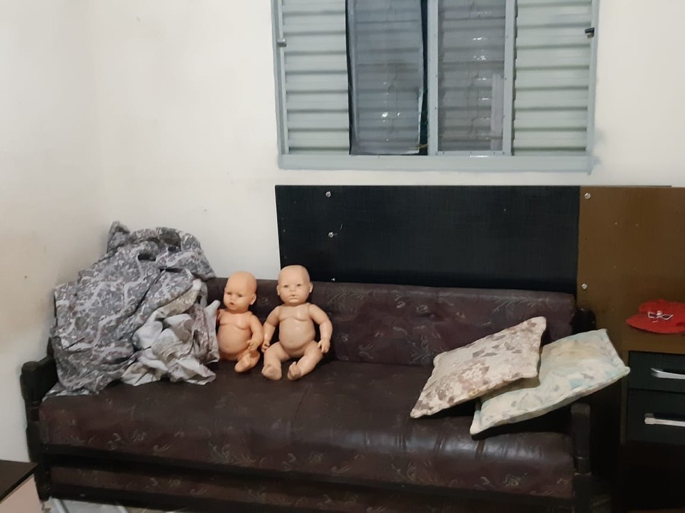 Foram cumpridos mandados de busca e apreensão em várias cidades do Centro-Oeste paulista.  — Foto: Polícia Civil/Divulgação