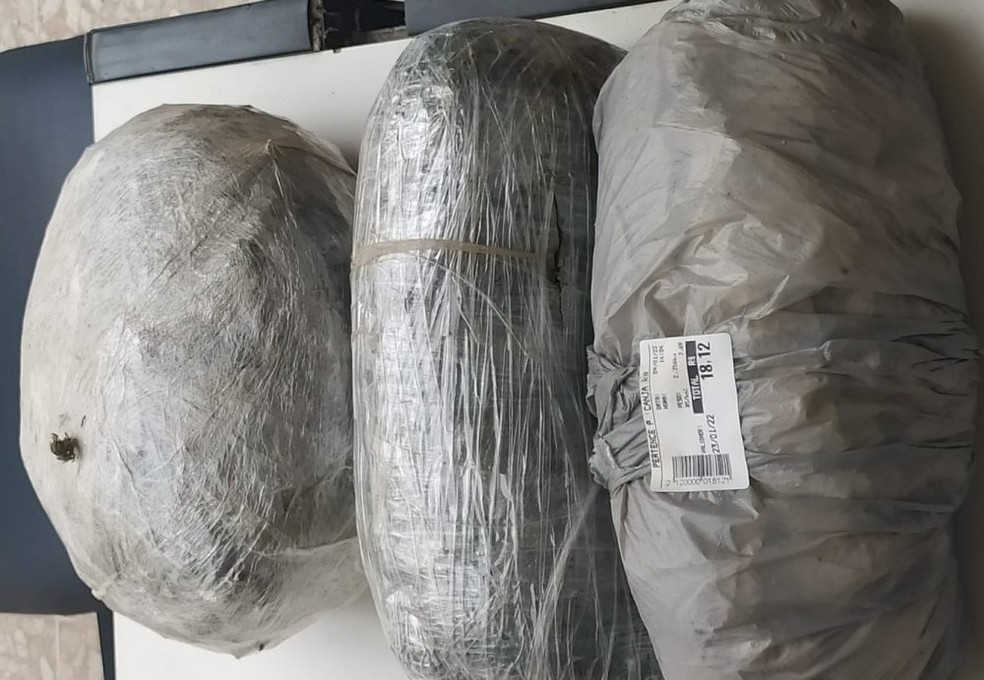 Mais de 2,3 kg de maconha foram apreendidos em São Bento do Una — Foto: WhatsApp/Reprodução