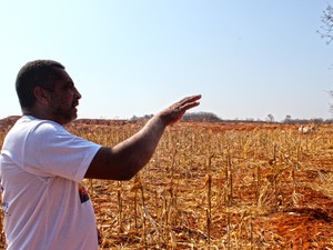Whashington Rodrigues ousou e plantou até girasol no solo vermelho de Gilbués (Foto: Pedro Santiago/G1)