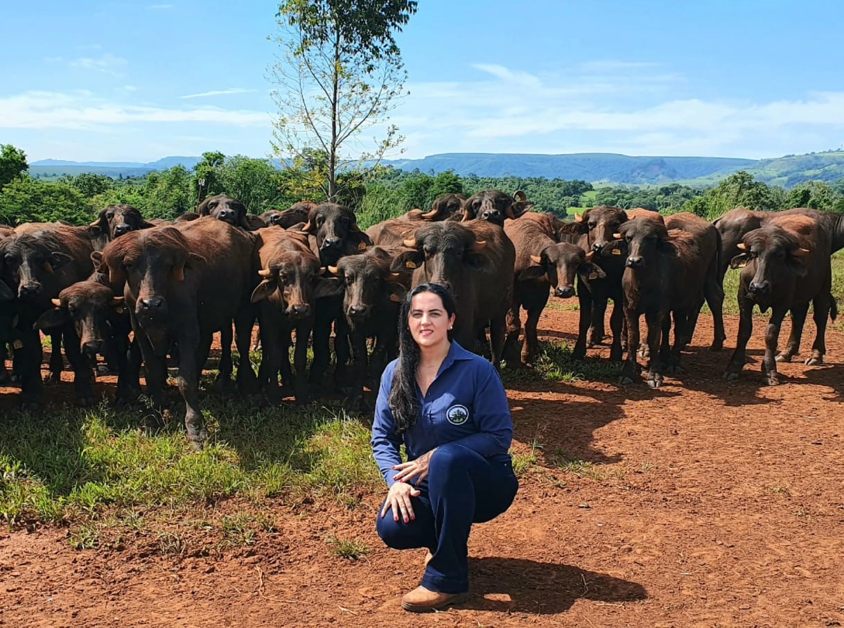 Pesquisadora Caroline Francisco com o lote de búfalos no CPTB, em Botucatu (Foto: Arquivo pessoal)