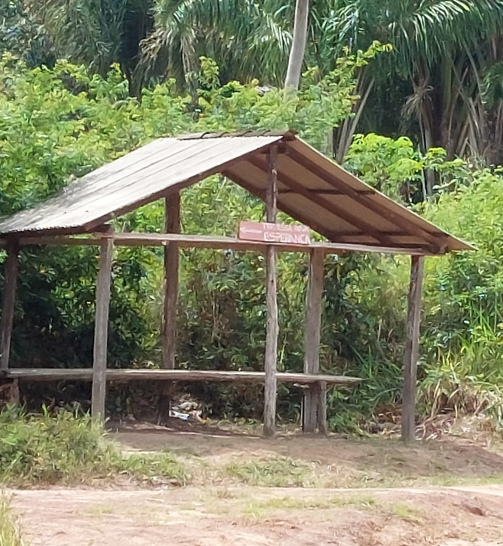 Embrapa flagra ação de madeireiros ilegais em Moju, no Pará. — Foto: Reprodução / Embrapa Amazônia Oriental