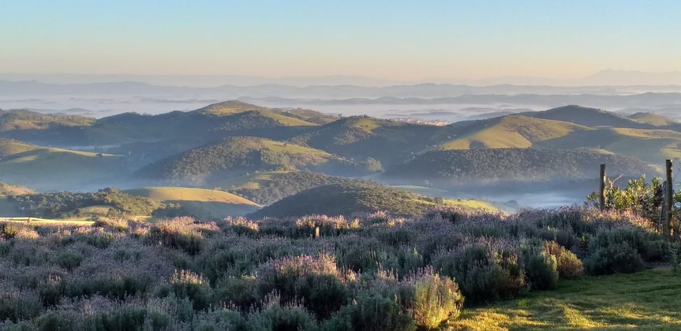 Paisagem das montanhas pode ser vista no lavandário em Cunha — Foto: O Lavandário/Divulgação
