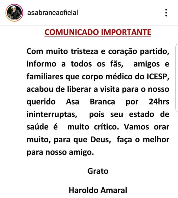 Novo comunicado diz que estado de saúde de Asa Branca é crítico (Foto: Reprodução/Instagram)