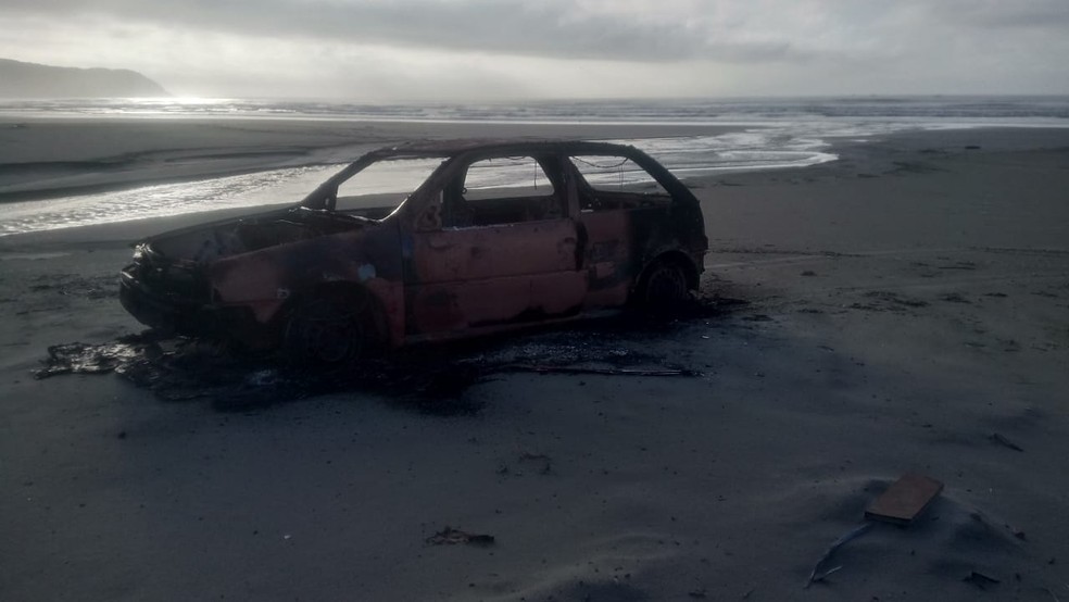 CarcaÃ§a de carro foi encontrada por equipes do Instituto Gremer em praia de Bertioga (SP) â€” Foto: Arquivo Pessoal