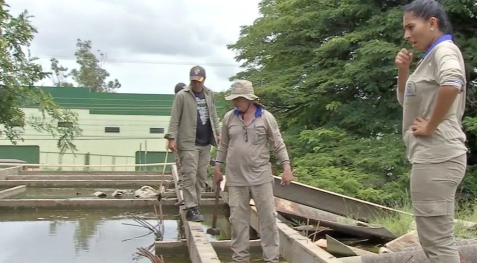 Agentes de saúde encontram imóvel abandonado com lage acumulando água parada, o que pode servir de criatório para o mosquito transmissor da dengue — Foto: Reprodução/TV Morena