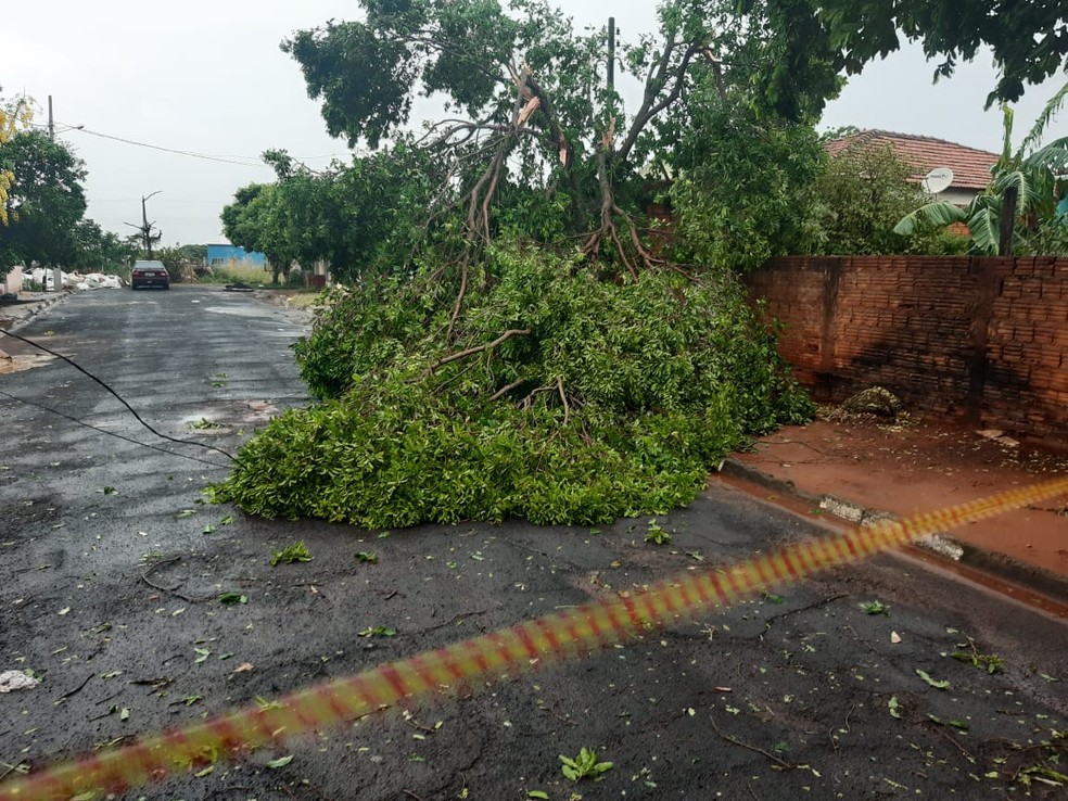 Temporal com chuva de granizo provocou estragos em Martinópolis — Foto: Defesa Civil