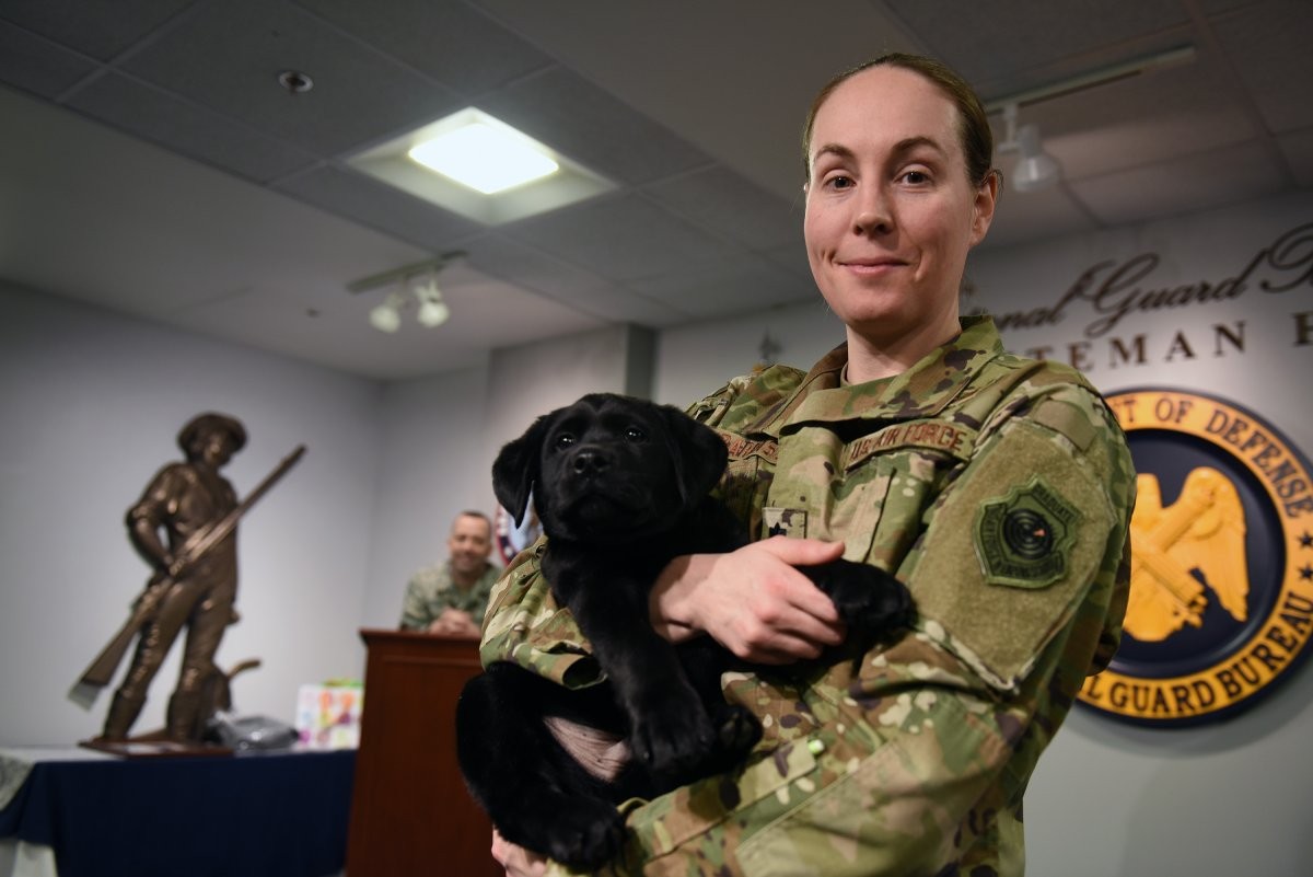 O estudo mostrou que veteranos que pediam com mais frequência a seus cães para alertá-los sobre um humano se aproximando por trás eram mais propensos a ter maior ansiedade (Foto: Flickr/ Jim Greenhill/ CreativeCommons)