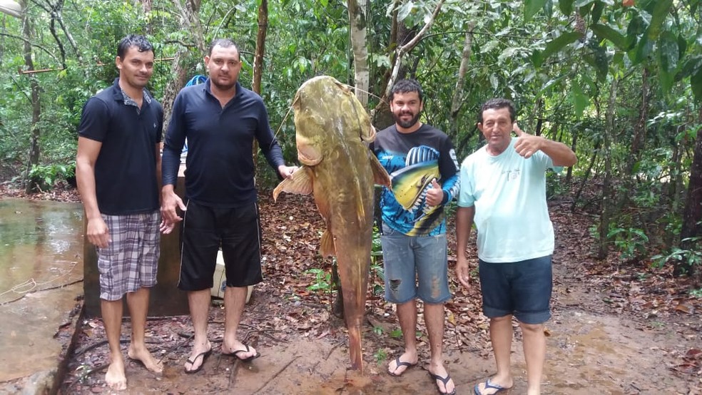 Jaú de 70 kg pescado em MS mediu 1,62 m. — Foto: MS Todo Dia/Divulgação