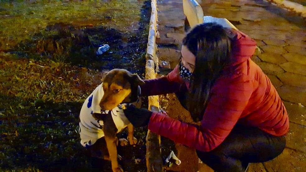 Voluntárias da Uipa percorrem ruas de Itapetininga para ajudar cães durante o frio — Foto: Arquivo Pessoal