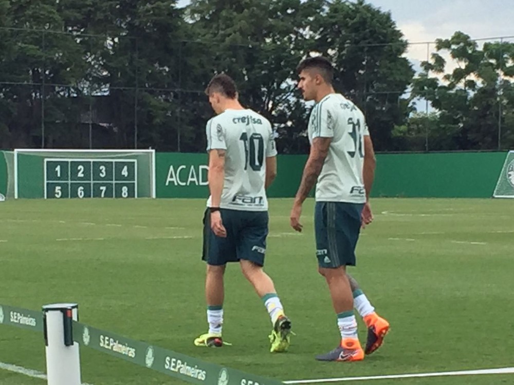 Palmeiras trabalha com quase todo elenco em campo nesta terça-feira