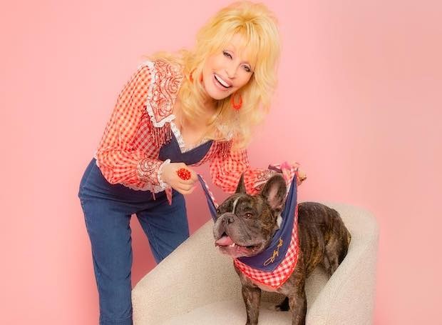 Dolly Parton lança marca de roupas, acessórios e brinquedos para cães (Foto: Instagram/ @doggyparton/ Reprodução)