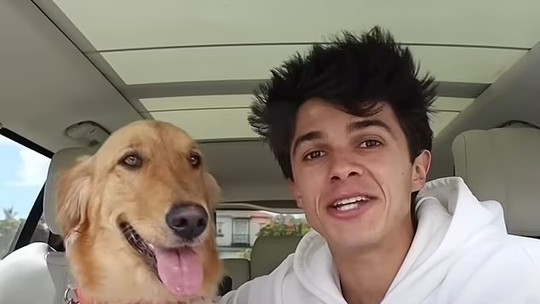 Youtuber revela que gastou 125 mil reais para construir "casa dos sonhos" para sua cadela