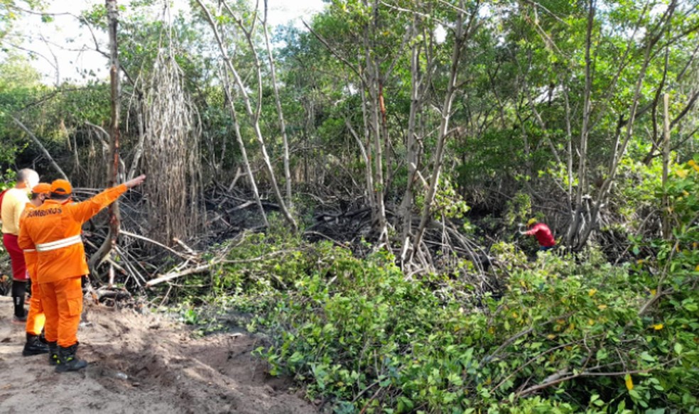 Equipes  de resgate no acesso criado para chegar até o mangue — Foto: PMA/Arquivo