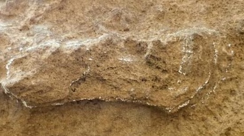 A pegada mais antiga conhecida de nossa espécie, levemente marcada com giz