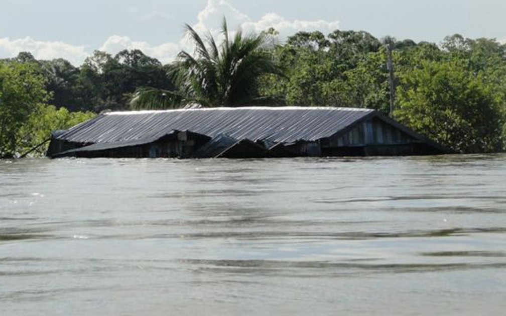 Aquecimento global e gases estufa têm efeitos diretos e indiretos sobre as chuvas amazônicas, que incluem até um 'portal entre os oceanos Atlântico e Índico' — Foto: Jochen Schongart/INPA