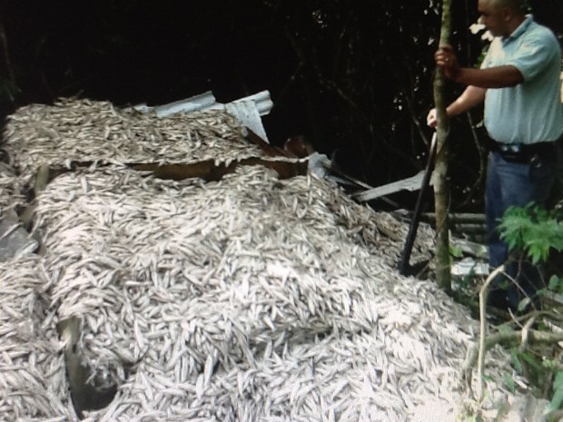 Polícia apreende mais de 5 toneladas de manjuba salgada (Foto: Rinaldo Rori/TV Tribuna)