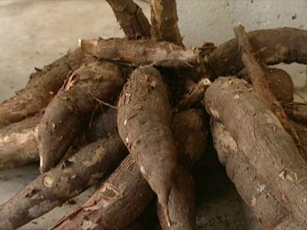 Madioca raíz para farinha tem preço em Jaru de R$300,00 (Foto: Reprodução/ TV Gazeta)