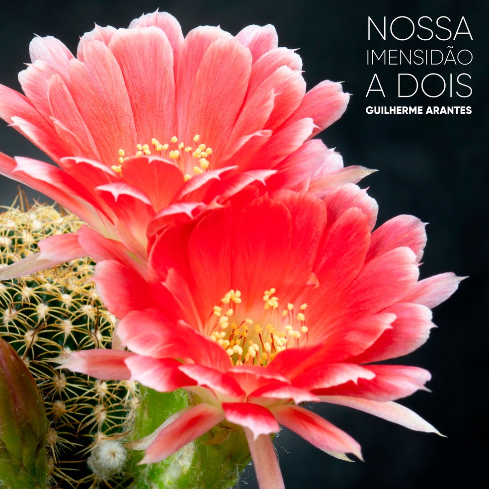 Capa do single com a versão de 2021 da balada 'Nossa imensidão a dois', de Guilherme Arantes — Foto: Divulgação