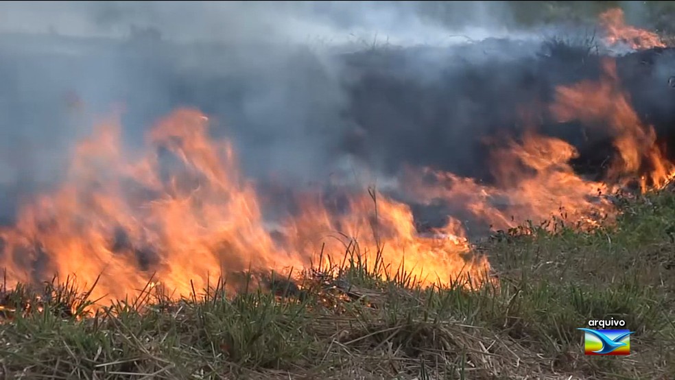 O Maranhão é 3º em ranking de queimadas irregulares do país, (Foto: Reprodução/TV Mirante)