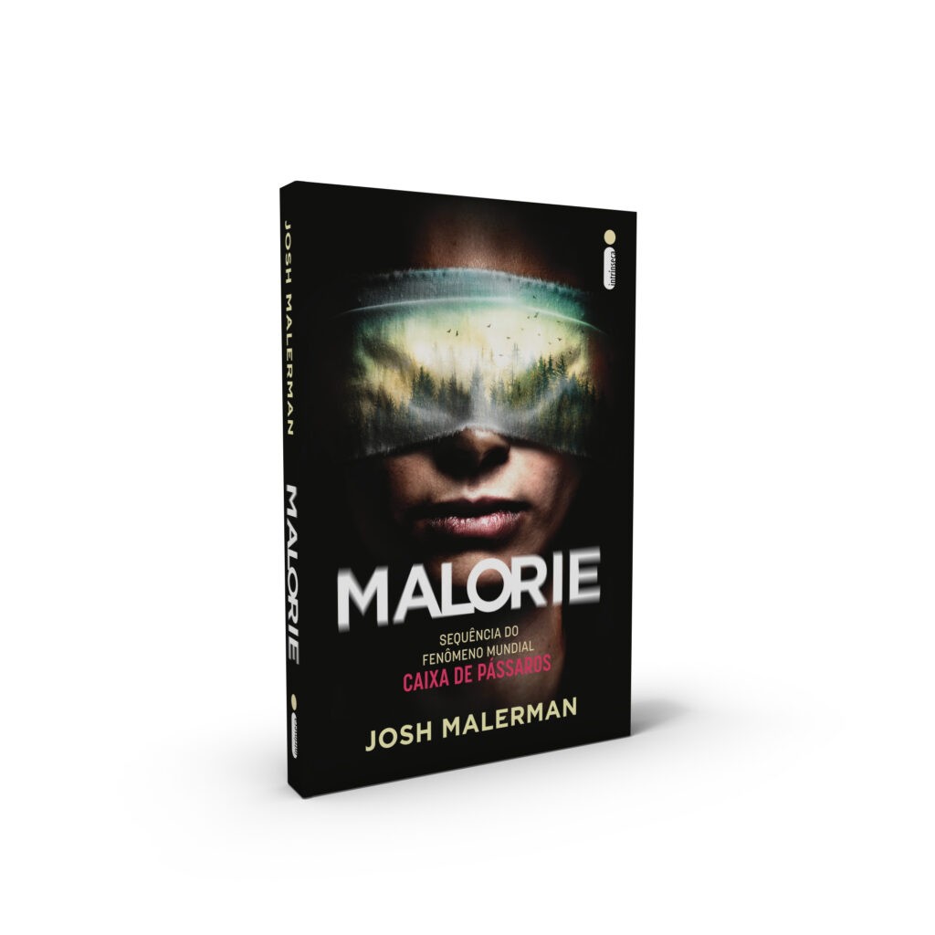 Malorie, de Josh Malerman (Intrínseca, 288 páginas, R$ 39,90) (Foto: Divulgação)