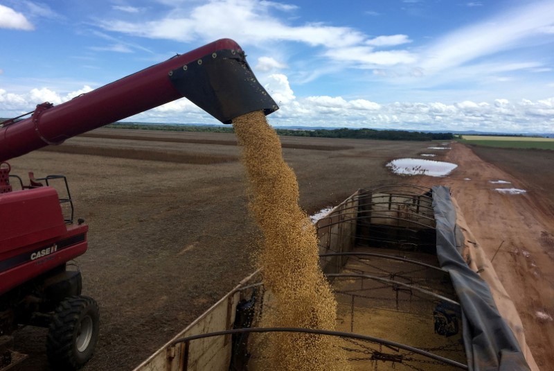 Carregamento de soja em Tocantins (Foto: REUTERS/Roberto Samora)
