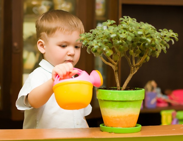 Criança regando a planta (Foto: Shutterstock)