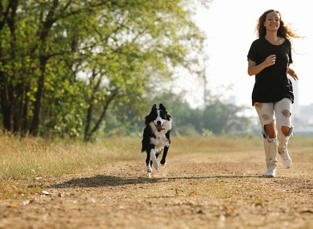 O “vem” é um comando de segurança, que deve estar entre os primeiros a ser ensinado para o cão (Foto: Pexels / Blue Bird / CreativeCommons)