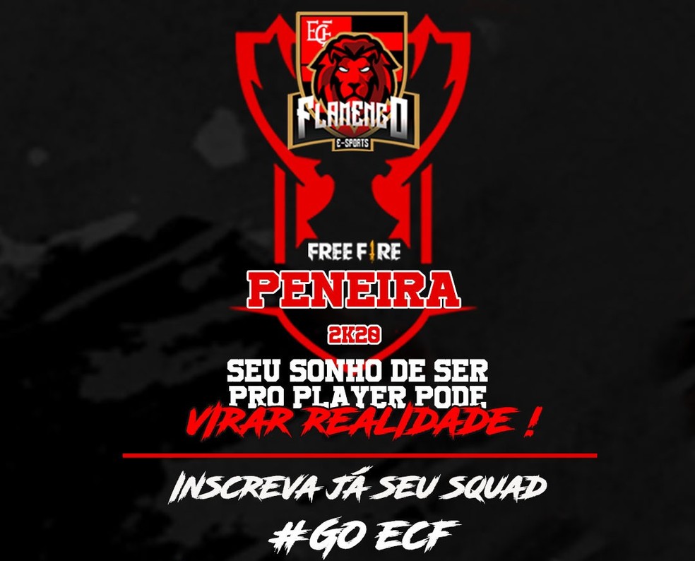 Flamengo-PI E-Sports — Foto: Divulgação/Flamengo-PI