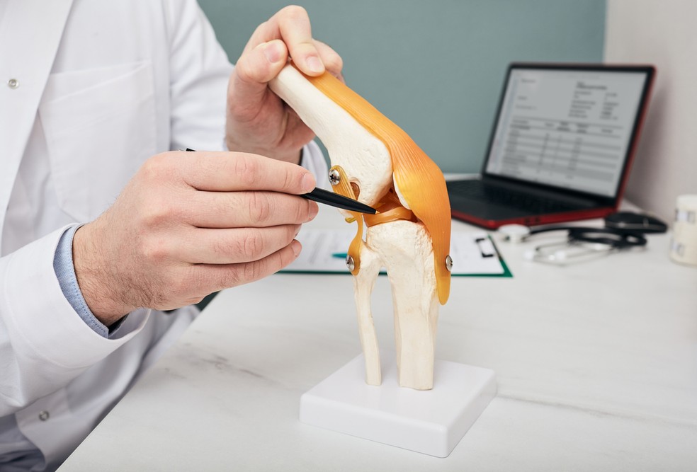 O menisco, que trabalha no amortecimento do joelho, é um exemplo de cartilagem  — Foto: Istock Getty Images