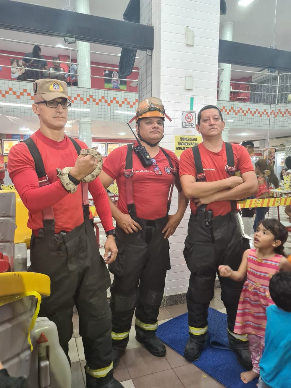 Bombeiros resgataram cobra de dentro de brinquedo em Manaus &mdash; Foto: Corpo de Bombeiros do Amazonas/Divulga&ccedil;&atilde;o