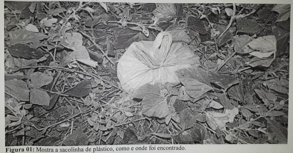Recém-nascida foi encontrada dentro de sacola em meio a um matagal.  — Foto: Polícia Civil/Divulgação