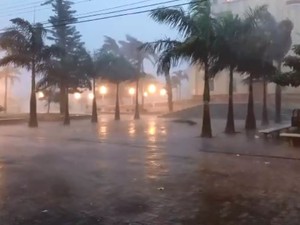 Chuva forte também atingiu Cândido Mota. (Foto: Divulgação/WhatsApp TV TEM)