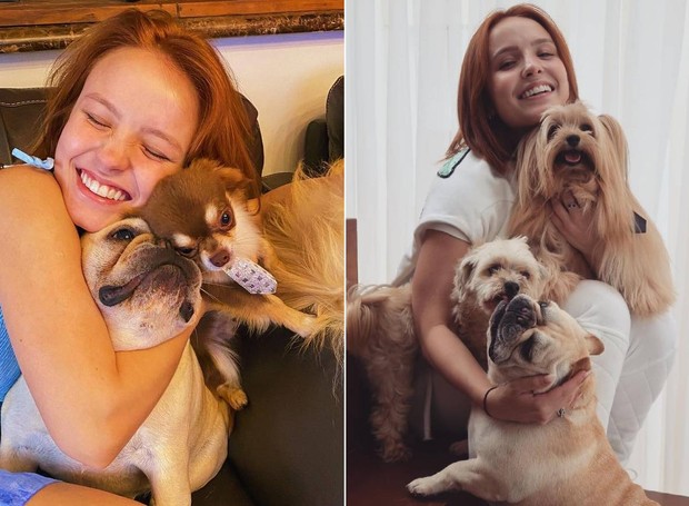 Larissa Manoela enchendo seus pets de muito carinho (Foto: Instagram/@larissamanoela/Reprodução)