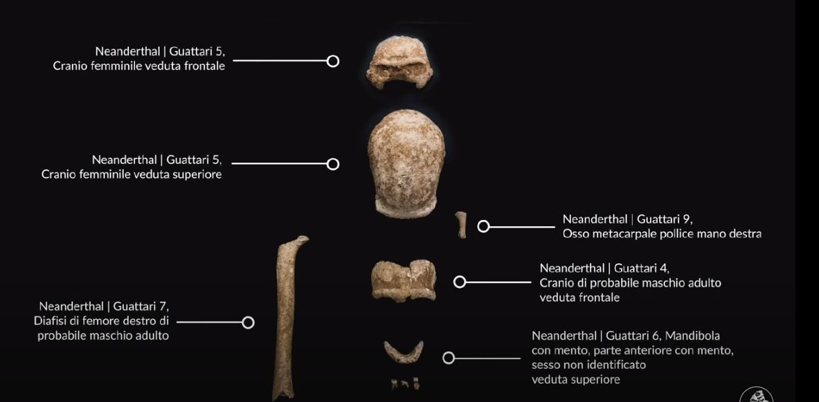 Arqueólogos encontraram restos fossilizados de nove neandertais durante escavações  em 2019 na comuna de San Felice Circeo, a 100 km de Roma (Foto: Corriere della Sera/Youtube/Reprodução)