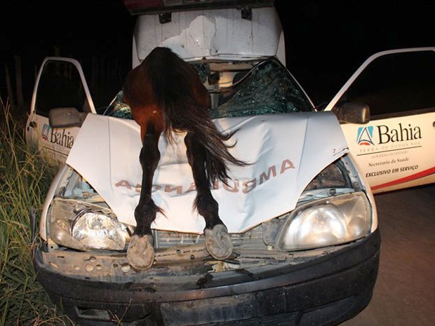 Após ultrapassagem, carro bate contra cavalo e mata passageira em