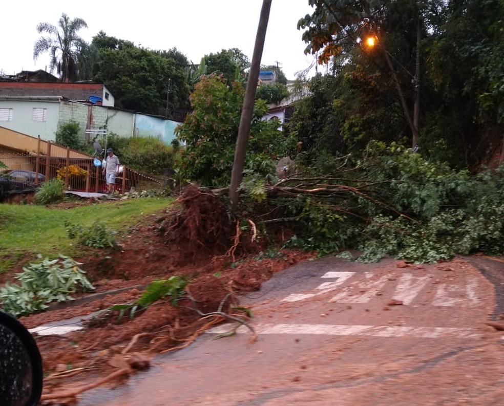 Chuva derrubou árvores no Jardim Marcheti  — Foto: Arquivo pessoal