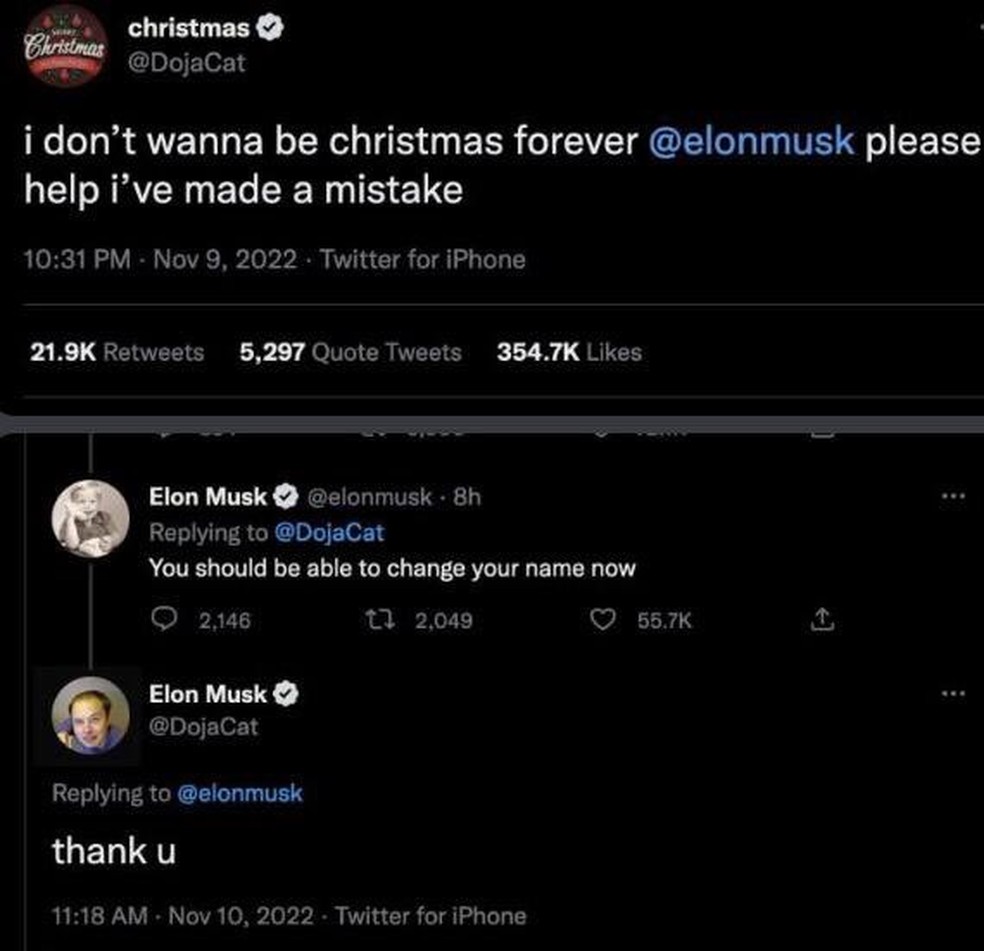 Doja Cat "se transformou" em Elon Musk no Twitter  &mdash; Foto: Reprodu&ccedil;&atilde;o / Twitter