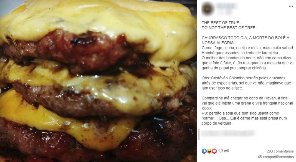 Hamburgueria Oferece Lanche De Papelao Para Veganos E Causa Polemica Morte Do Boi E Nossa Alegria Sorocaba E Jundiai G1