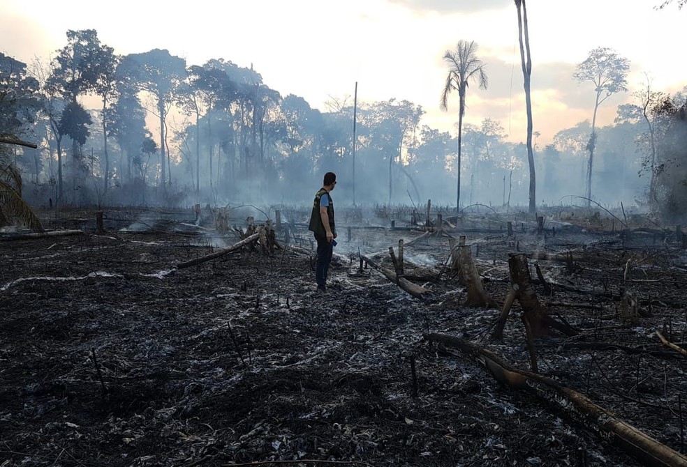 Chamas estão próximas de atingir área de pesquisa da Embrapa — Foto: Arquivo/Semeia