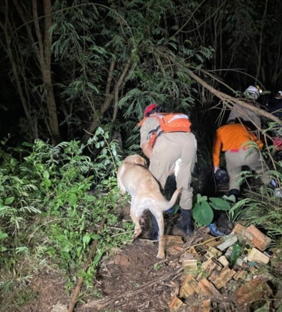 O trabalho contou com o apoio dos cães de resgate Hot e Maya — Foto: Reprodução